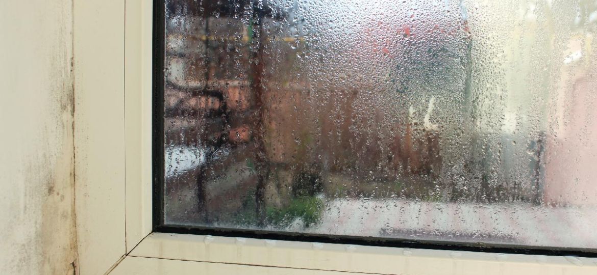 Window Condensation-01