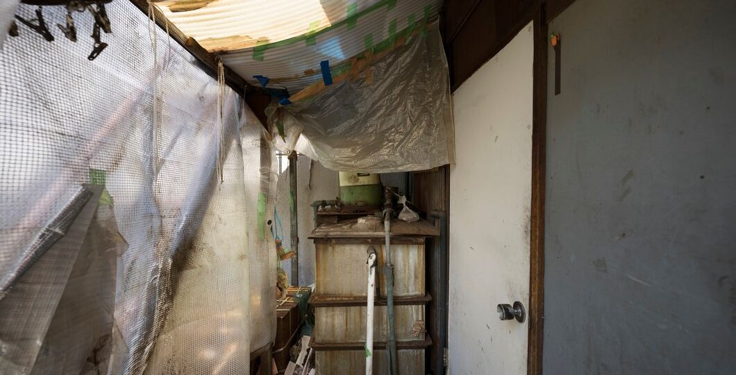 mold inside indoors home detection
